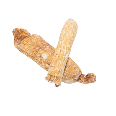 Asian Ginseng