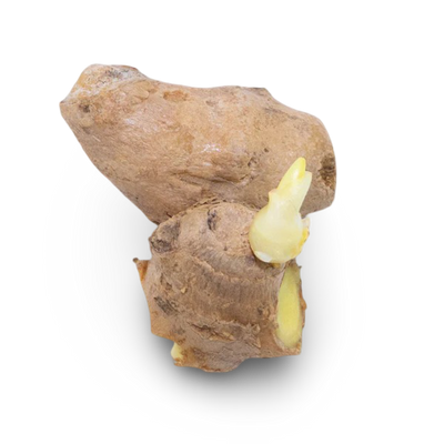 Ginger Root
