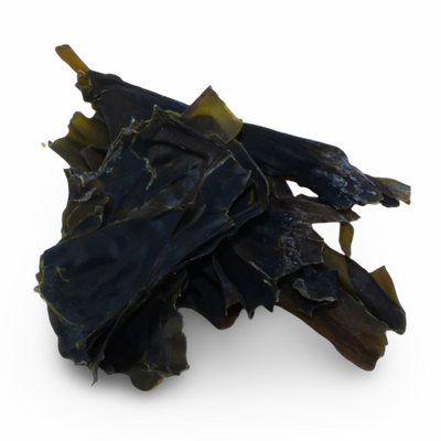 Kelp