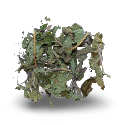 Motherwort