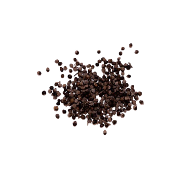 Chaste Berry (Vitex Agnus-Castus)