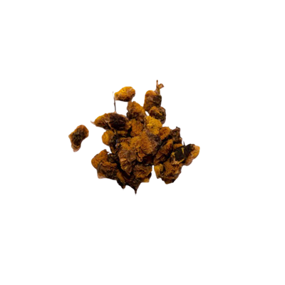 Dandelion Root