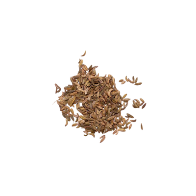 Fennel Seed (Foeniculum Volgare)