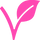 Vegan Friendy