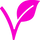 Vegan Friendy